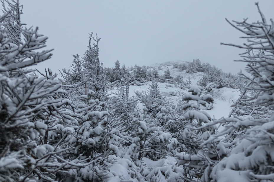 Mt. Colden Summit, Whiteout Conditions