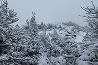 Mt. Colden Summit, Whiteout Conditions photo