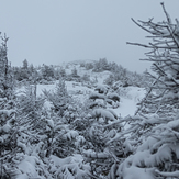 Mt. Colden Summit, Whiteout Conditions