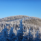 Wildcat Mountain, Carter-Moriah Range, White Mountains, NH, Wildcat Mountain (New Hampshire)