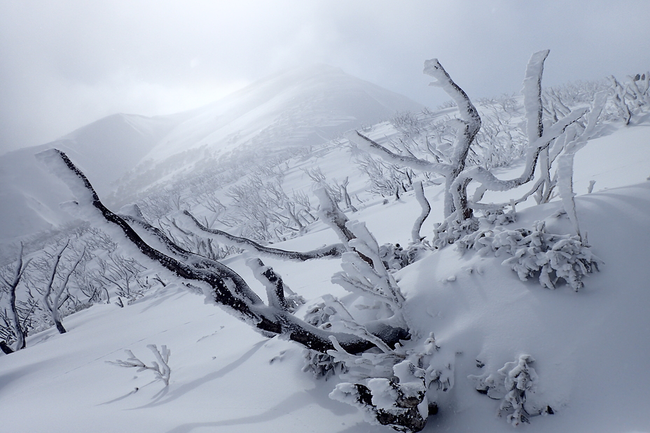 Winter 2018, Mount Feathertop