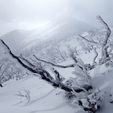 Winter 2018, Mount Feathertop