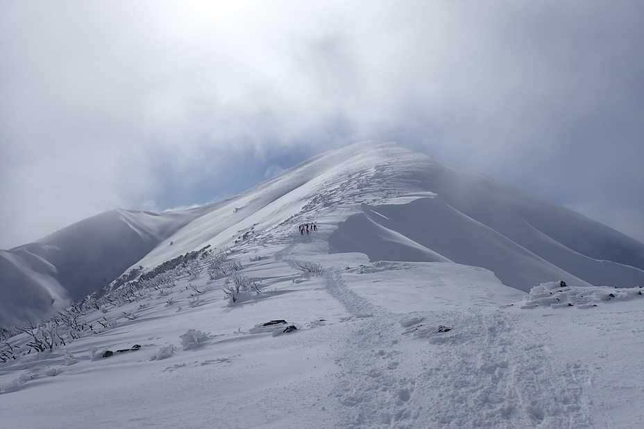 Journey to the summit, Mount Feathertop