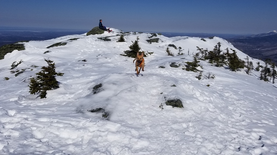 Camels Hump