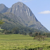 Mulanje Massif from Mulanje