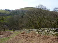 Ling Fell photo