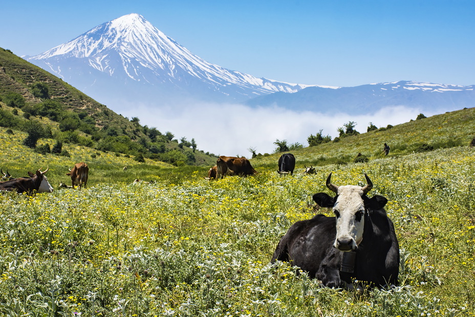 Alimastan Peak, Damavand (دماوند)