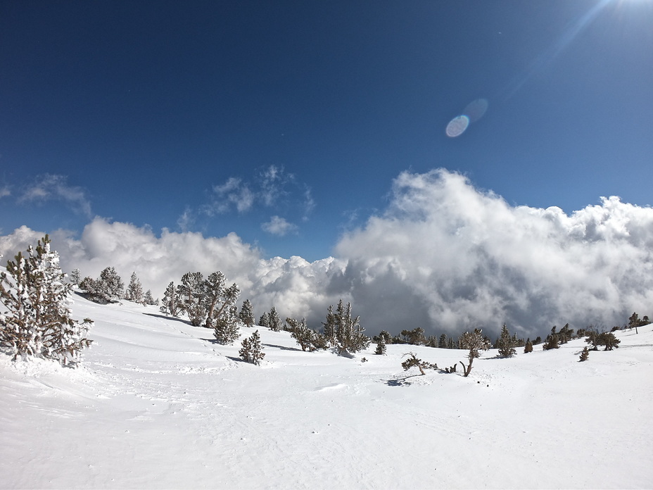 Mount Baldy (San Gabriel Range)