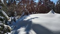 Off the Cliff trail cairn, North Pack Monadnock photo