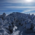 South Twin, South Twin Mountain (New Hampshire)