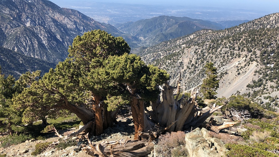 Backbone 05-16-2020, Mount Baldy (San Gabriel Range)