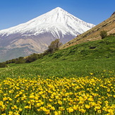 Damavand, Damavand (دماوند)