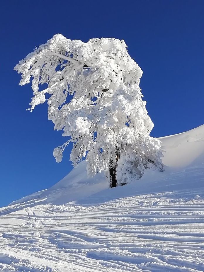 Σ ΠΑΠΑΝΙΚΟΣ, Smolikas