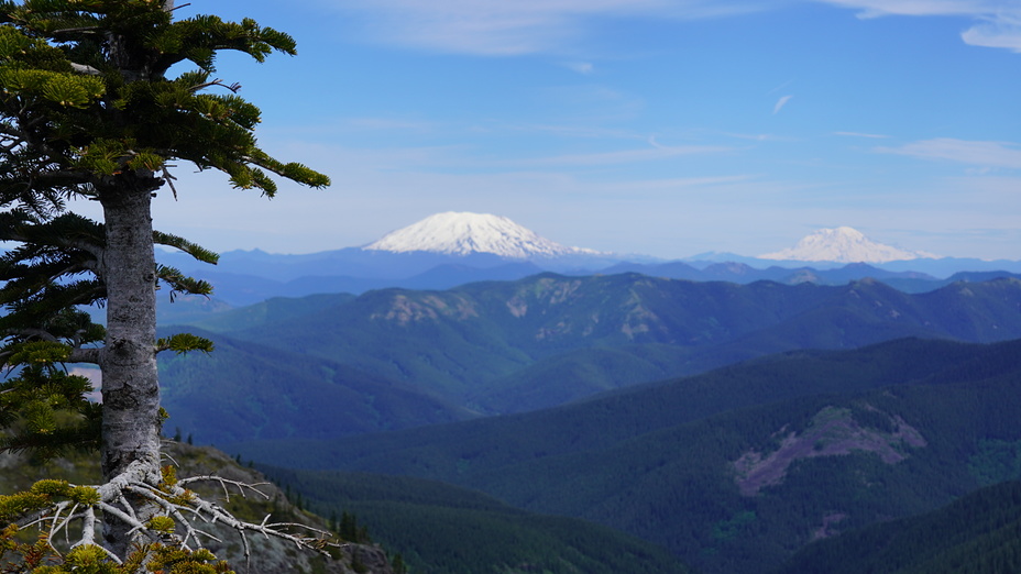 Silver Star Mountain (Skamania County, Washington)