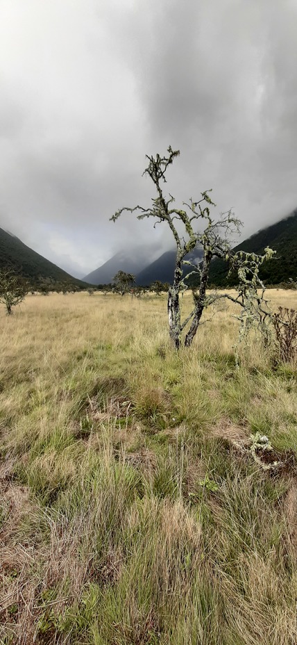 Red Hill (Richmond Range)