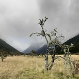 Red Hill (Richmond Range)