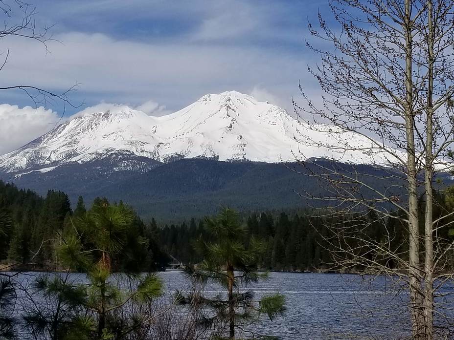 Mount Shasta