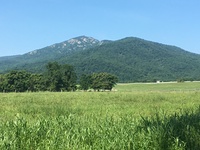 Old Rag Mountain  photo