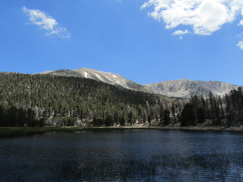 Gorgonio and Jepson from Dry Lake, San Gorgonio