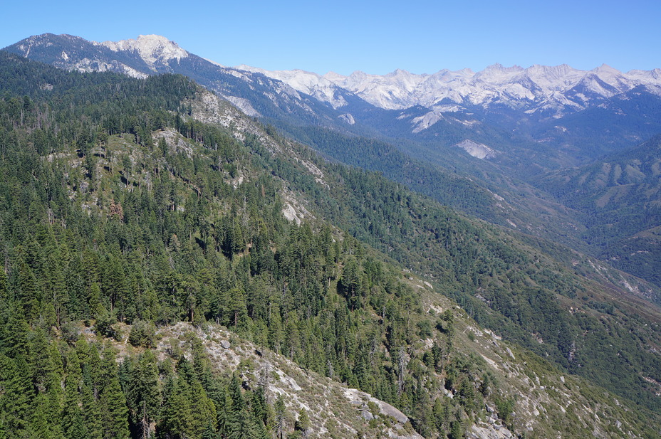 View From Moro Rock