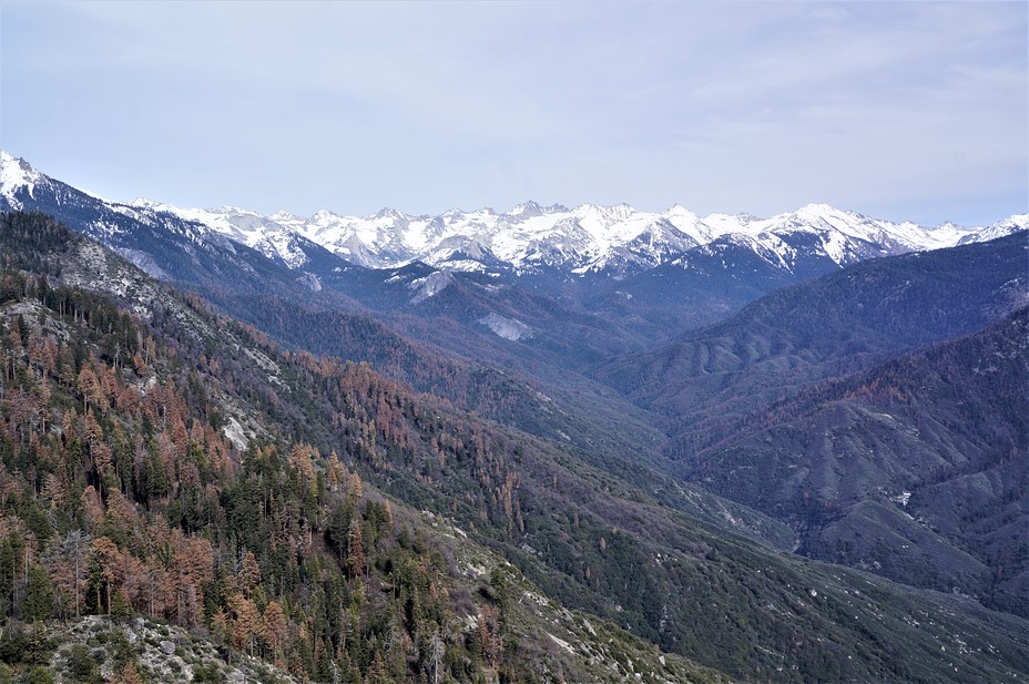 View From Moro Rock