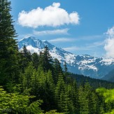 Mount Rainier