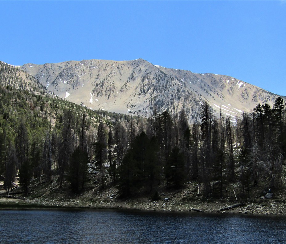 Jepson Peak and Dry Lake