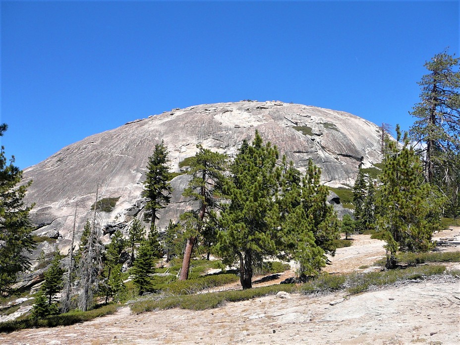 Sentinel Dome