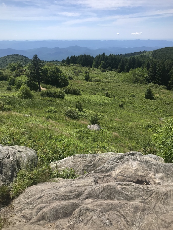 Black Balsam Knob