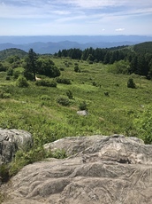 Black Balsam Knob photo