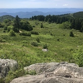 Black Balsam Knob