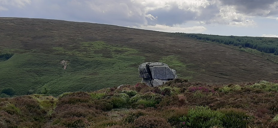 Tibradden Mountain