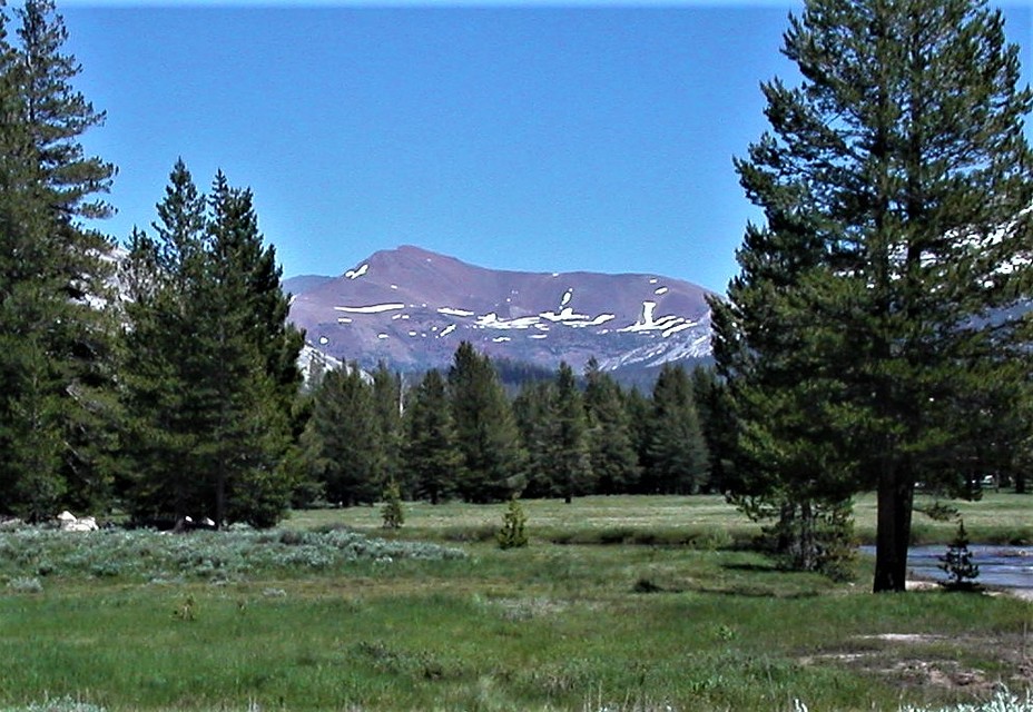 Mt. Gibbs and Tuolumne Meadows, Mt Gibbs