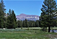 Mt. Gibbs and Tuolumne Meadows, Mt Gibbs photo