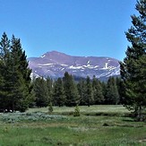 Mt. Gibbs and Tuolumne Meadows, Mt Gibbs