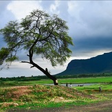 Pavagadh