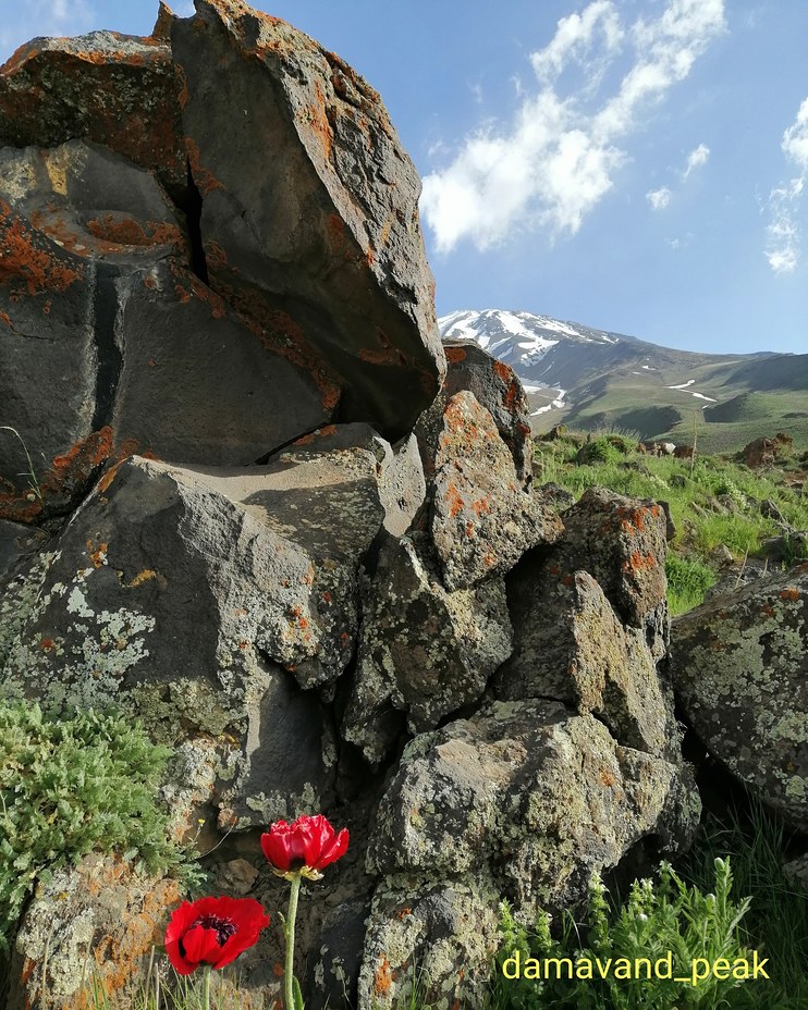 Damavand (دماوند)