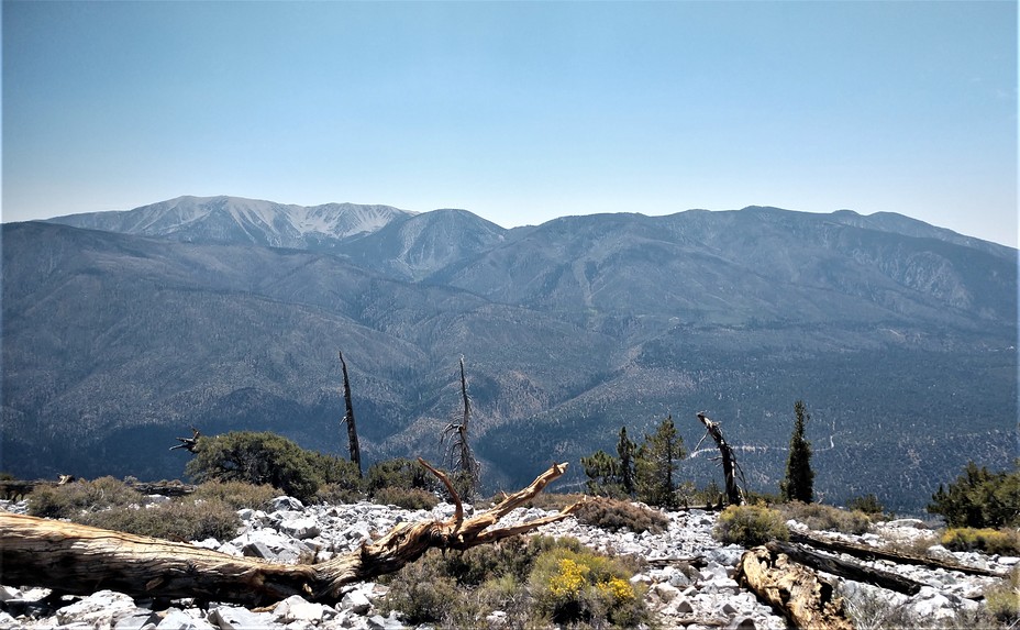 Anderson Peak (San Bernardino Mountains) Mountain Photo by Josh M. | 1: