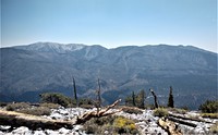 Anderson Peak (San Bernardino Mountains) photo