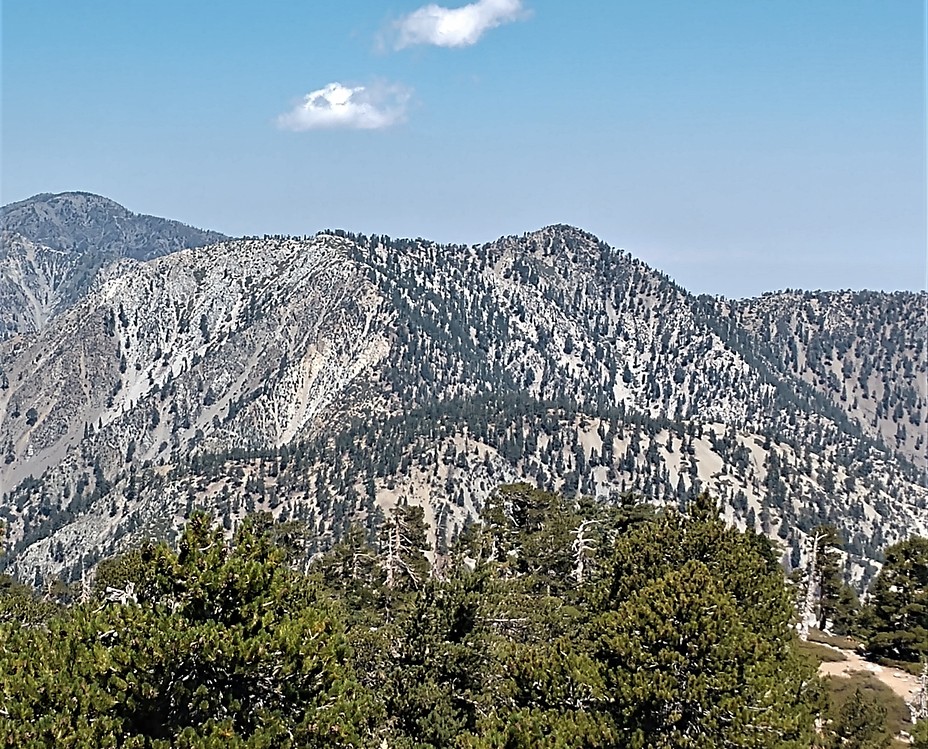 Telegraph Peak, Telegraph Peak (California)