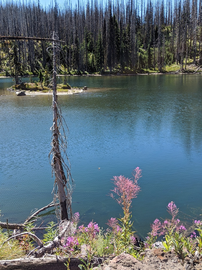 hidden pond, Mount Adams