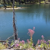 hidden pond, Mount Adams