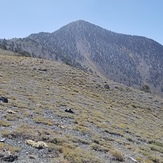 Telescope Peak