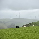 Approaching Mynydd y Glyn