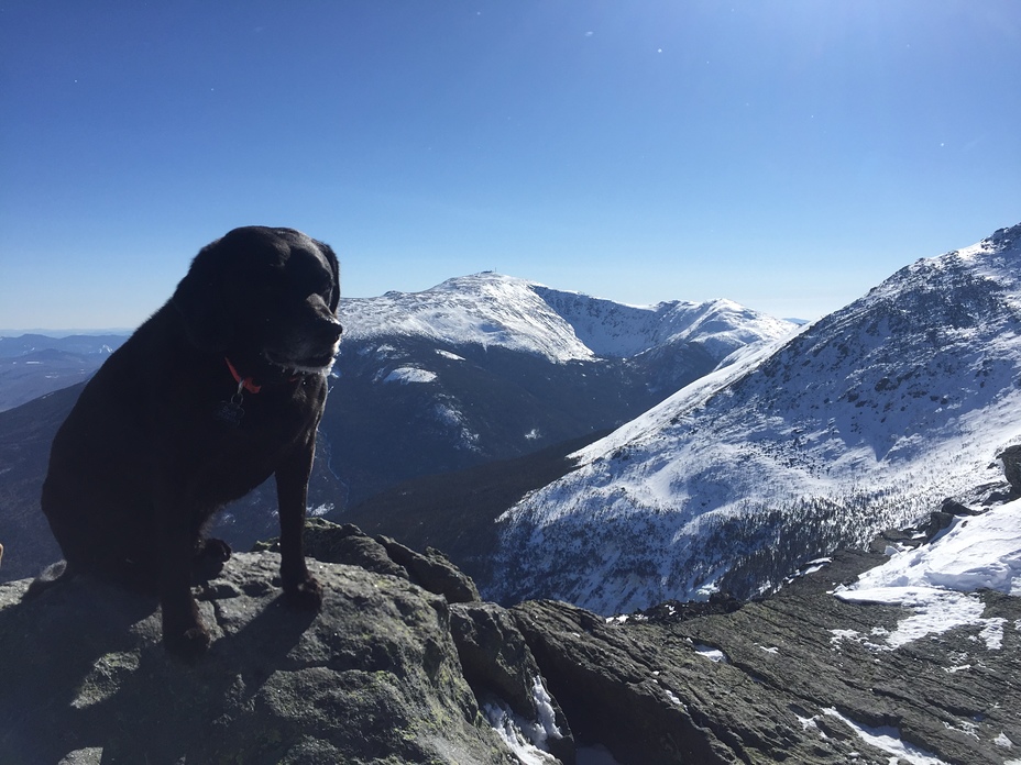 Views from the summit, Mount Madison