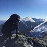 Views from the summit, Mount Madison