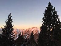 Good morning, Mount Charleston photo