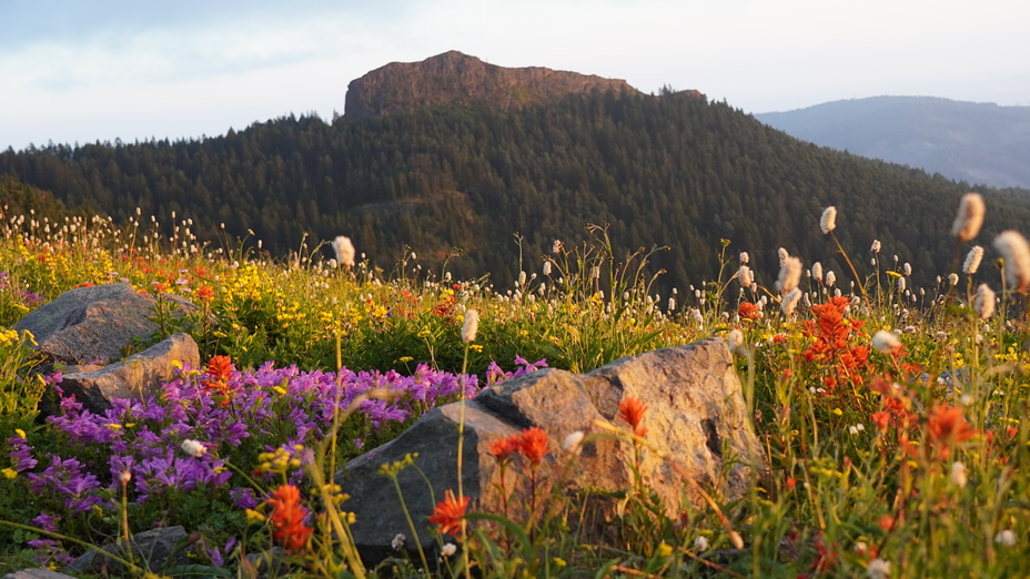 Silver Star Mountain (Skamania County, Washington)