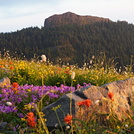 Silver Star Mountain (Skamania County, Washington)