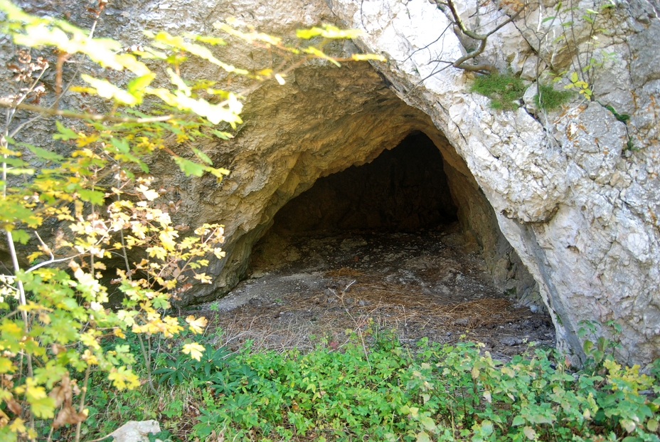 Bucurska pecina, Medvednik